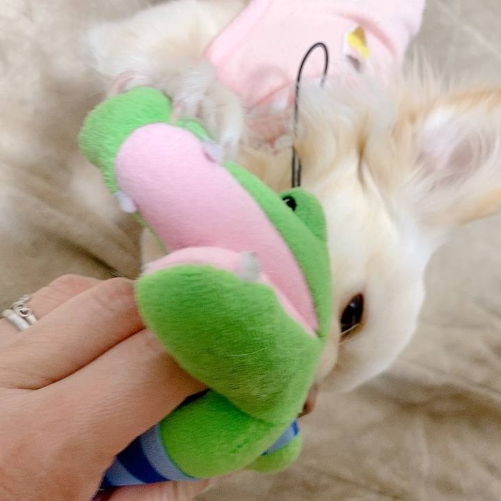 D2d01bf4 49f9 4418 b129 3be52745f861 1615202789280