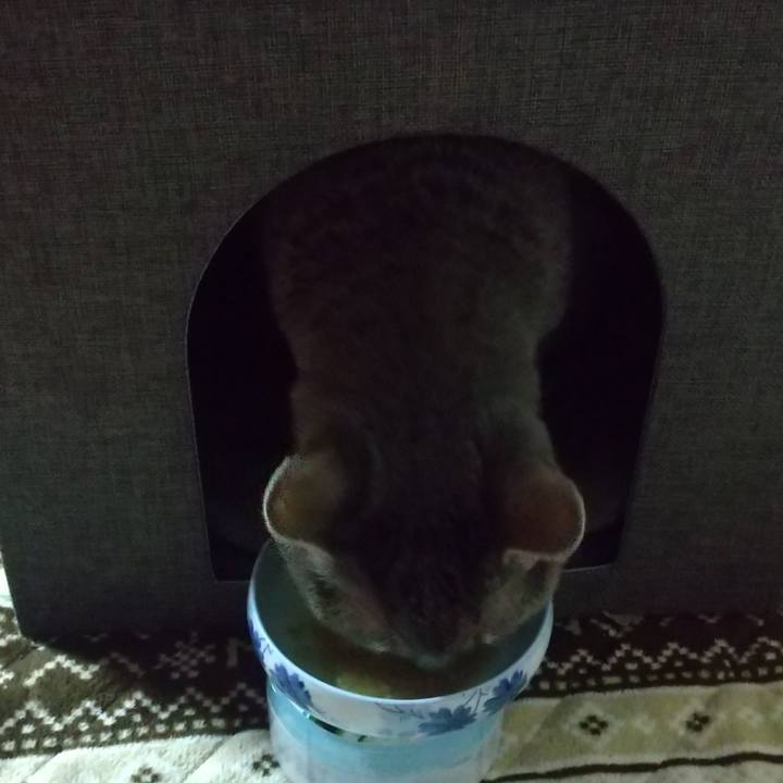 D2d030cc b4e2 42c9 b415 5bfee4a6637e 1679703537446