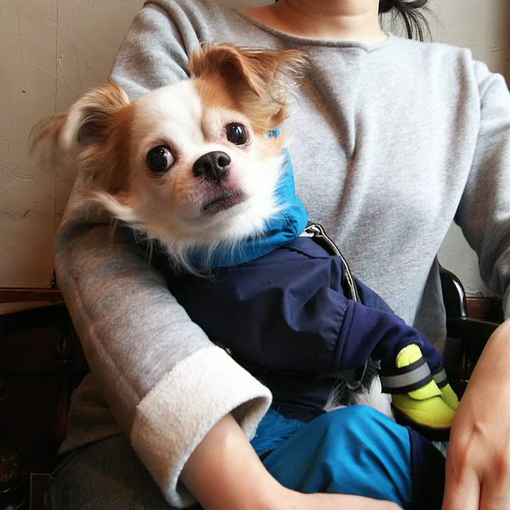 D2d031f7 9dbb 4bd0 9bdd ac0d8157d491 1517121496736