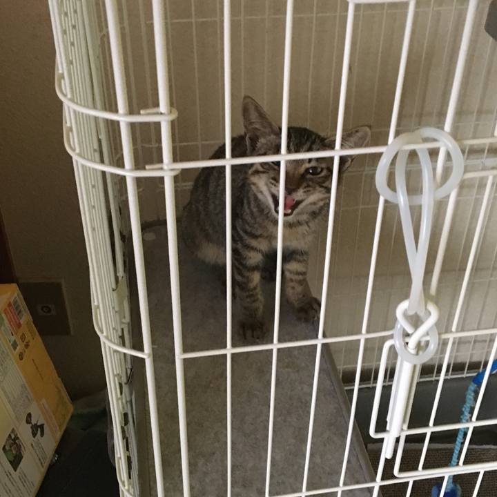 D2d0391c 993a 45dc 9950 3de200665892 1536764334575