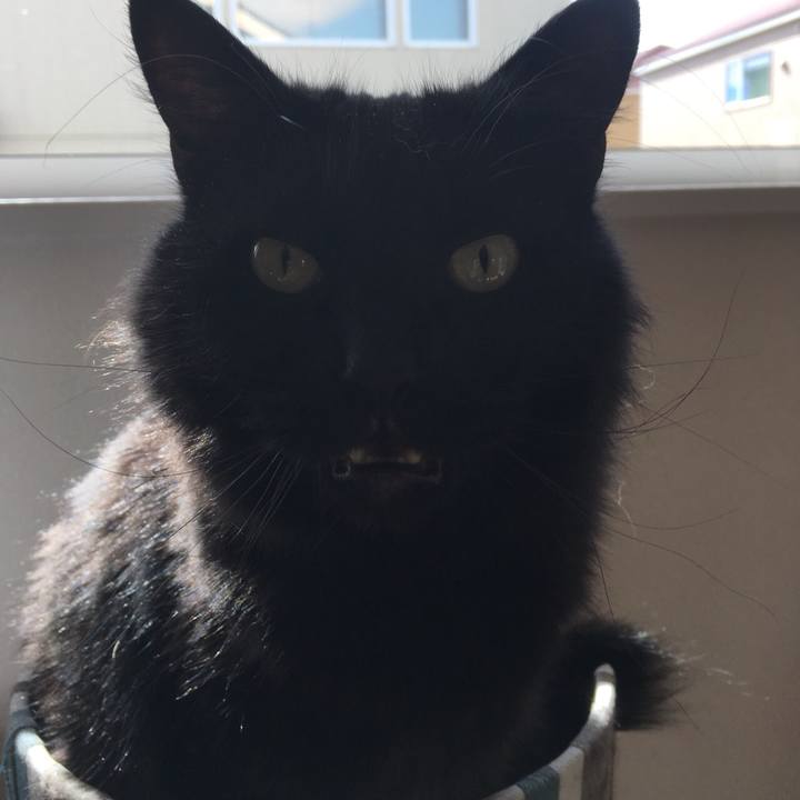 D2d03d5e da5c 4437 a4f6 f5adf70fee12 1529032221196