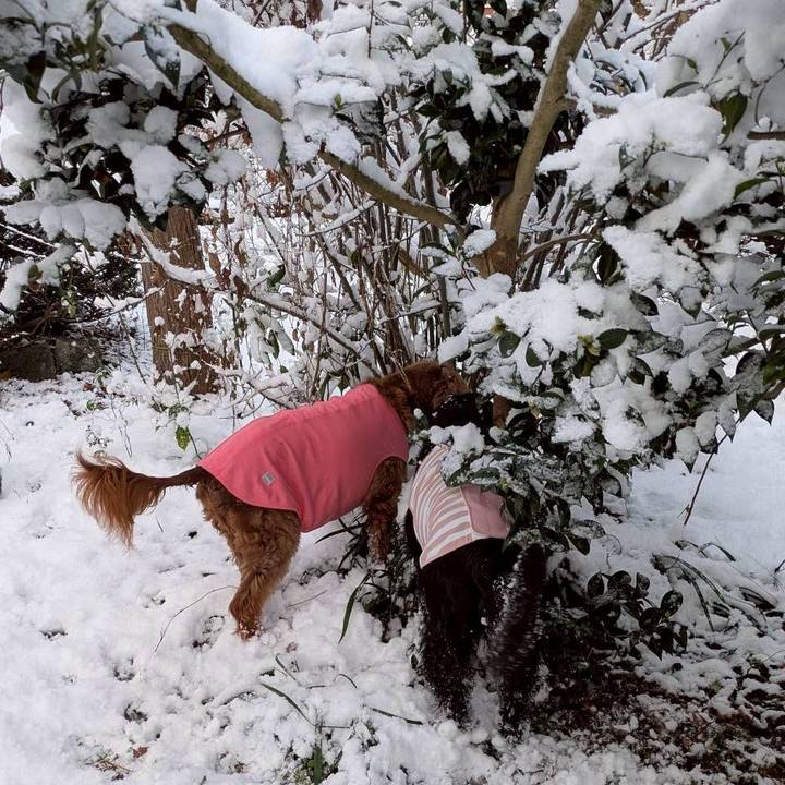 D2d06bca eb74 4cd4 ba9d df0e001f38ca 1764924911701