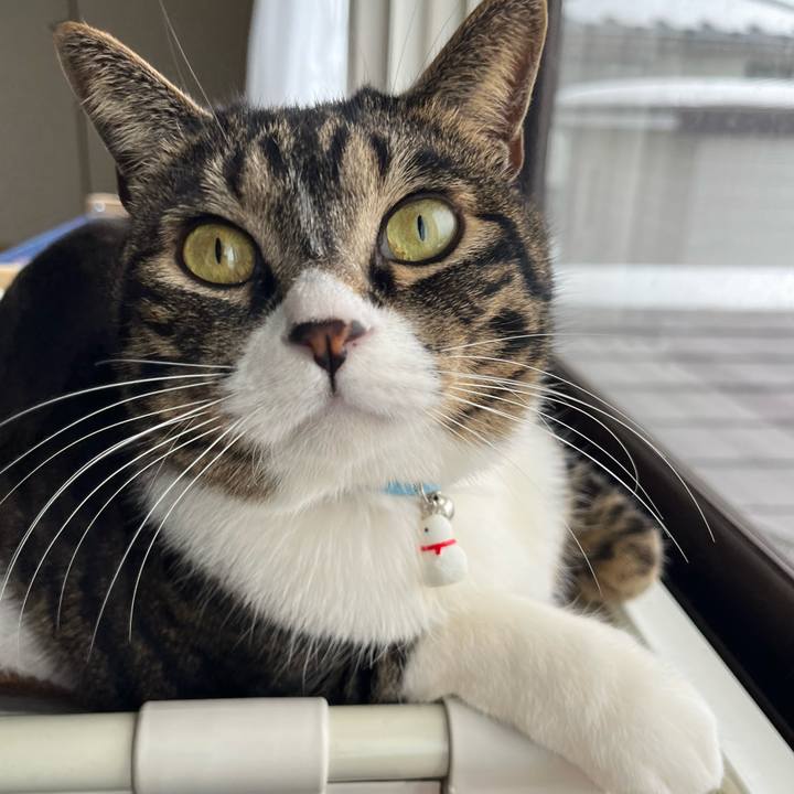 D2d07181 82a3 44a9 9ce0 760b4d9ee207 1770592517570