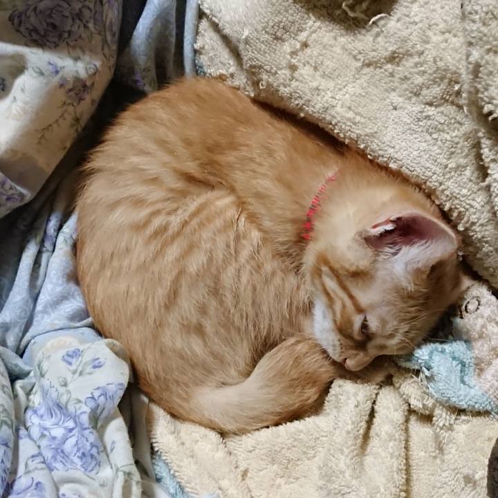 D2d08197 6f4a 4ee8 9c17 11f49c74dff9 1631625436518