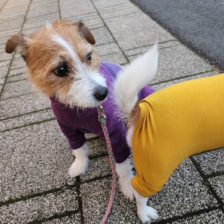 D2d093ab 751d 4b17 b1f3 a28c18cc5e67 1671359755422