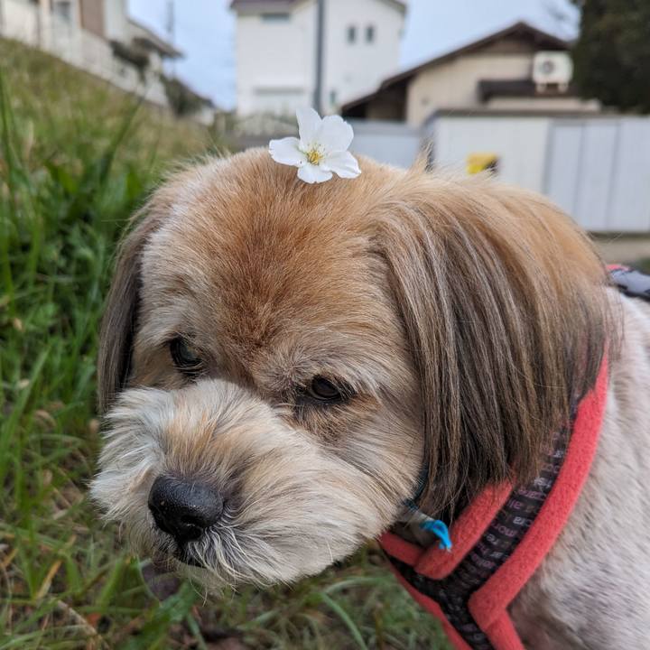 D2d0a43a 1c80 4f6b 9c69 a7d2fe558db7 1712008969798