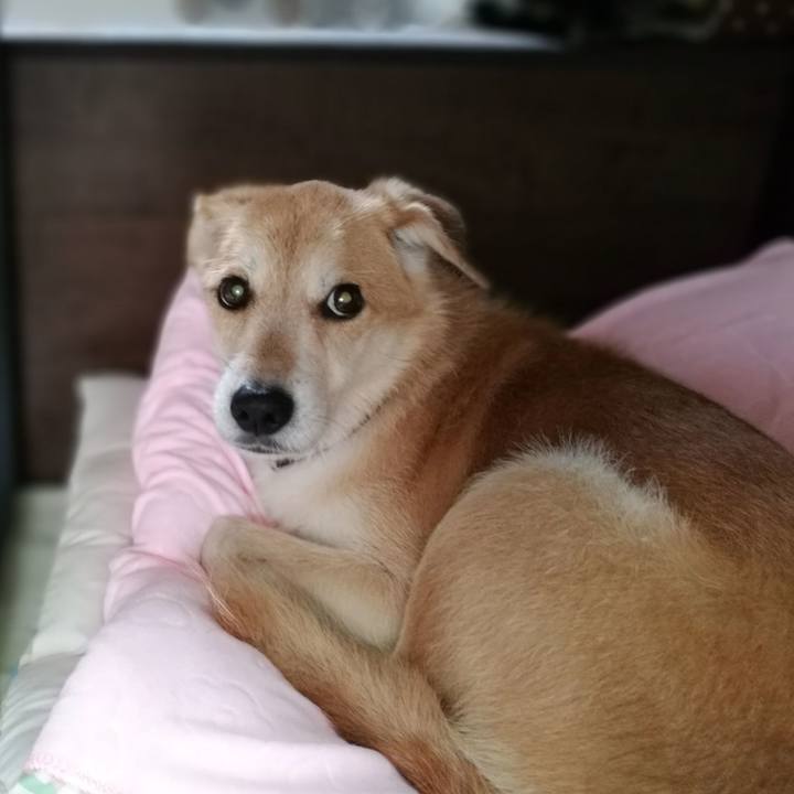 D2d0bd81 762d 49a0 9e2a 15f222392d05 1538565407754