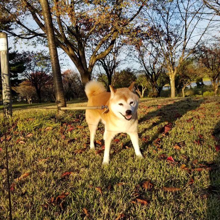 D2d0db6b a343 4a00 a82e 7e2bf3e75926 1697182534122