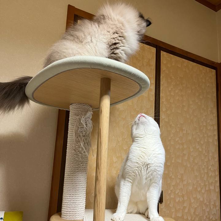 D2d0ed16 f6c9 4cb1 a130 fc2039d4fb8d 1748169880836