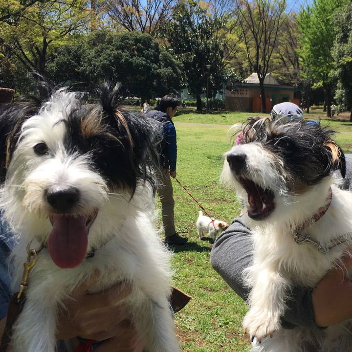 D2d0f847 a528 4136 97b1 f08f943908f7 1507975701988