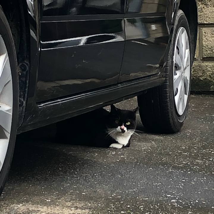 D2d13968 7180 4206 b21e 04458b59cbfe 1629273924648