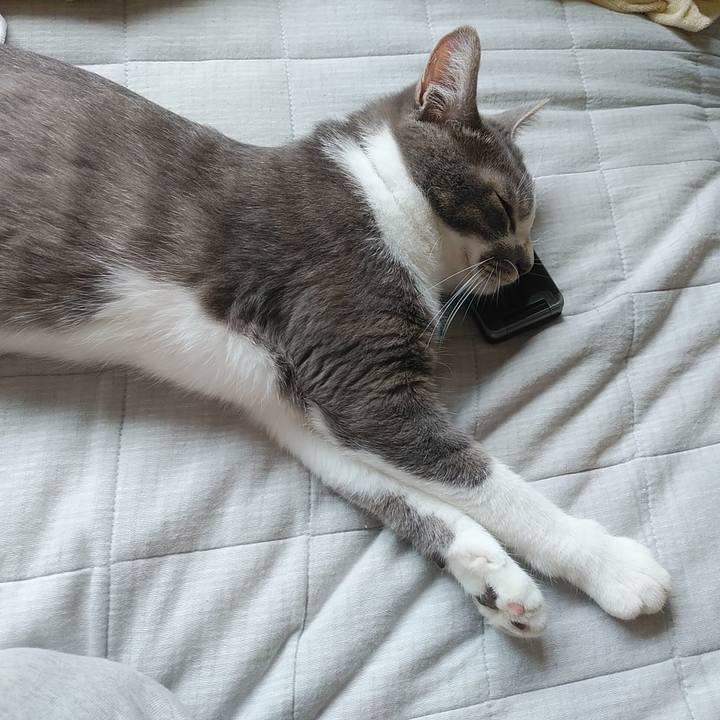 D2d13d81 f9bd 4b00 b486 4f0f6e2650fb 1592270378775