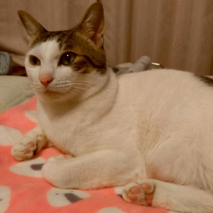 D2d14e70 6c7b 4934 a45f a556ad7f398d 1698235267468