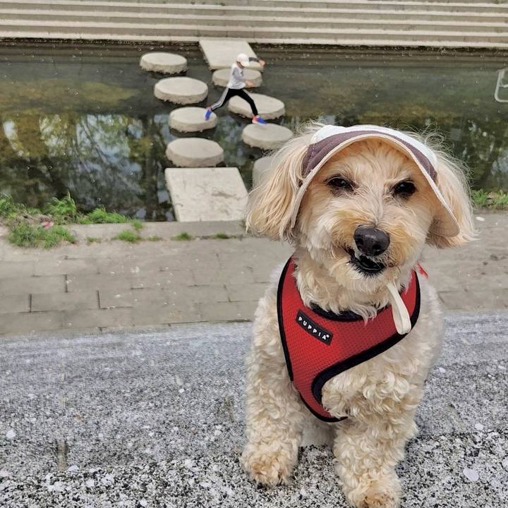 D2d14f61 d593 48fc 95c3 355b9b60c54a 1775466819031