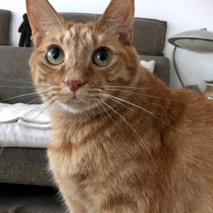 D2d1858e 62af 415f 8a7e c87664bc09d6 1554266375964