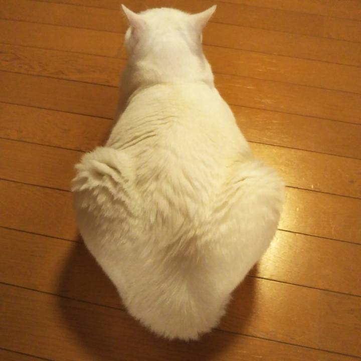 D2d1affb 997b 43bb 8e11 eabf33547254 1561638293946