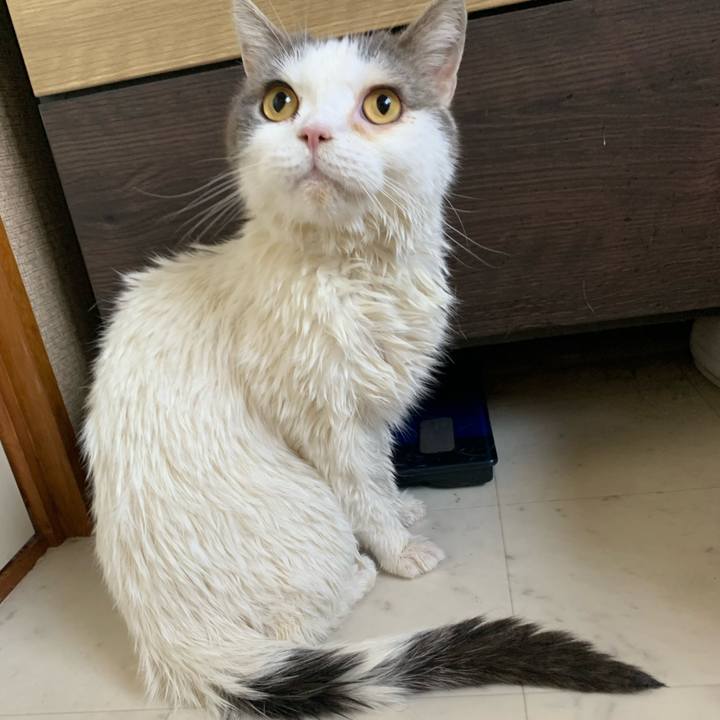 D2d1d409 37f5 447c 8122 bd7150cfe58c 1649567845415