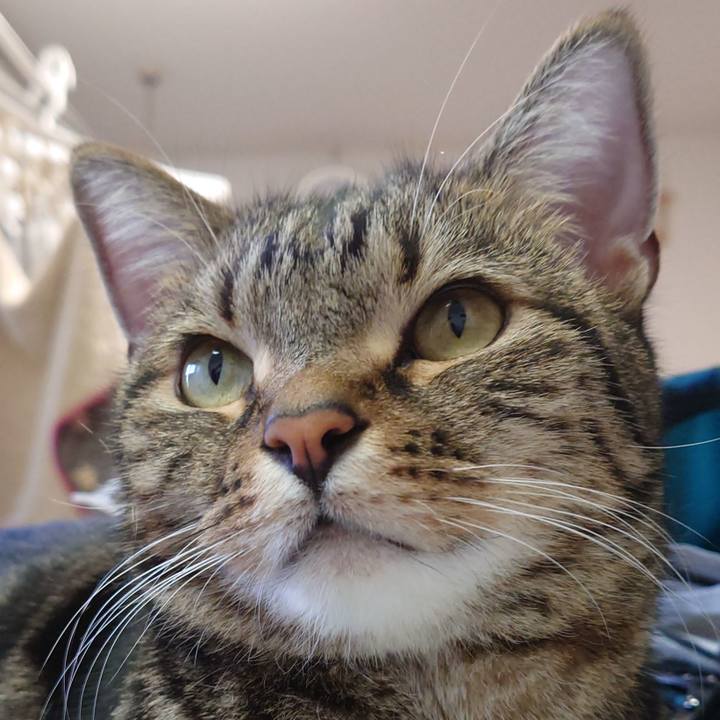 D2d20a2a b58a 495e a915 f8b7d51fccd7 1608102867642