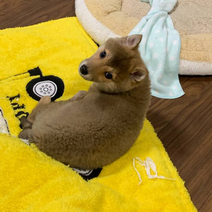 D2d20a46 3966 415f 8065 439696f9f23d 1617705578211