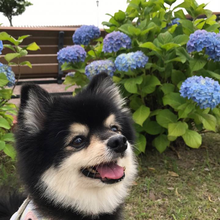 D2d23ec7 ec36 4099 a575 12f221bcb7ff 1591491026529