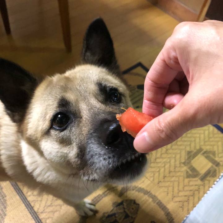 D2d2a384 9f69 42a0 8ba8 c02f511200dd 1628682261100