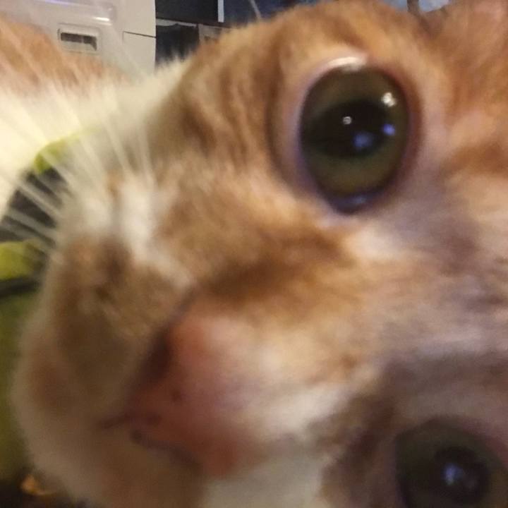 D2d2b89b 9808 4bbc 9b75 aea91dcb2fa9 1532442049618