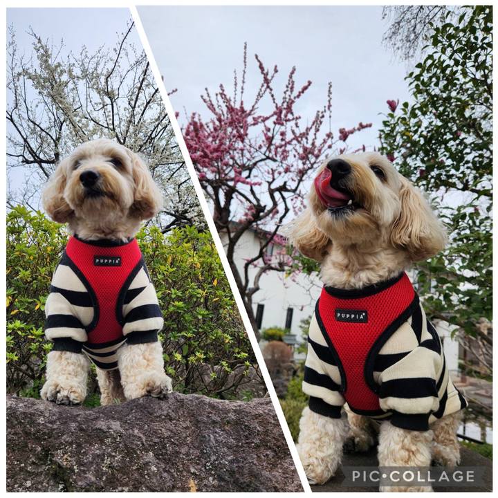 D2d2fd35 729e 4301 98e9 b02b0254210b 1773814889080