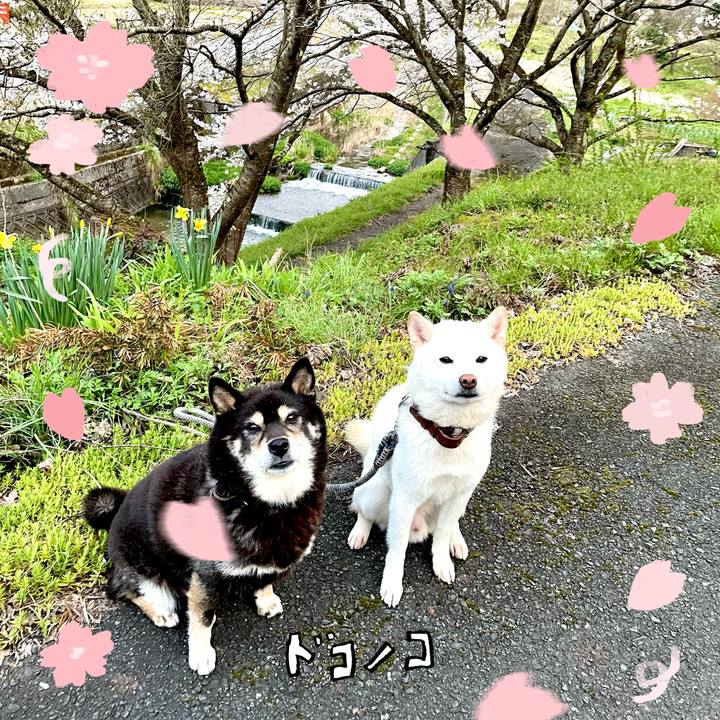 D2d30d52 1edf 4f6a b791 6c0cbc9de244 1744292324309