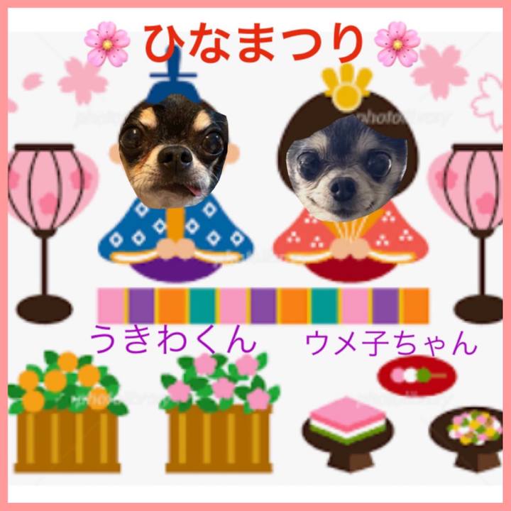 D2d31581 7479 48cc bdc7 cae7a10f55be 1646291068587