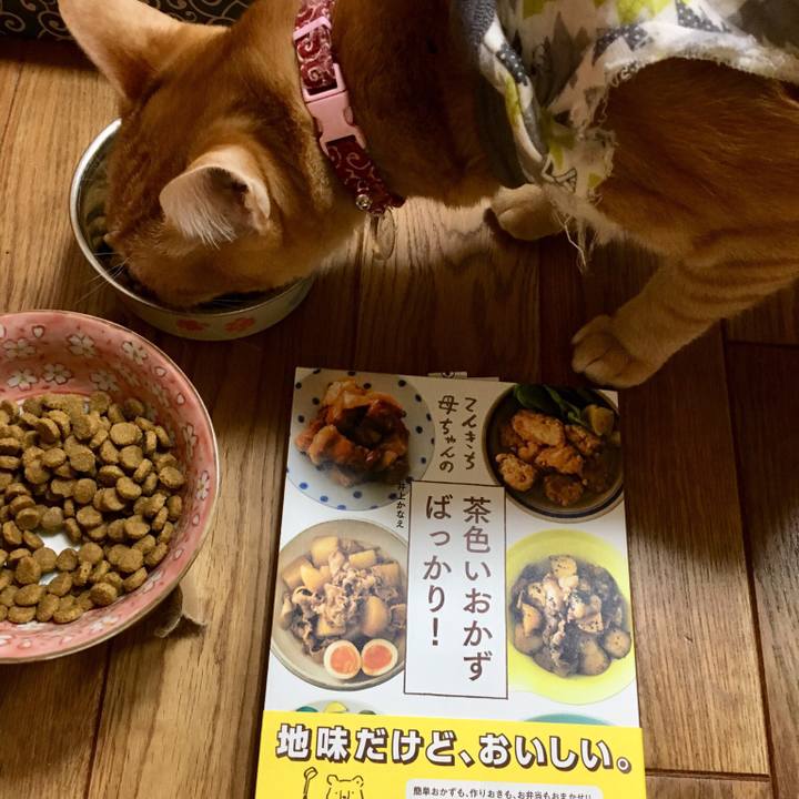 D2d31a26 42f9 409f 8486 2780aa3f0ed1 1512139761392