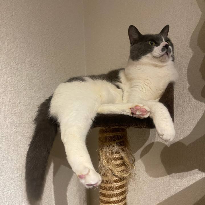 D2d32cc2 2a99 4850 bfd4 a00bd9470ab4 1745157864746