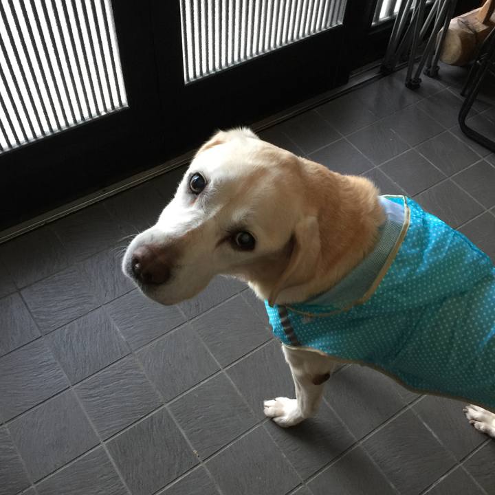 D2d3615b 455c 4fd5 9399 31fffd1b7b44 1545172923840