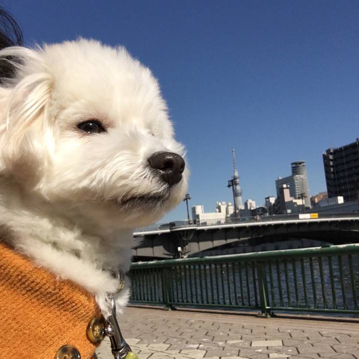 D2d367b5 9d6e 4e5f 97bb d591458f70df 1549077752587