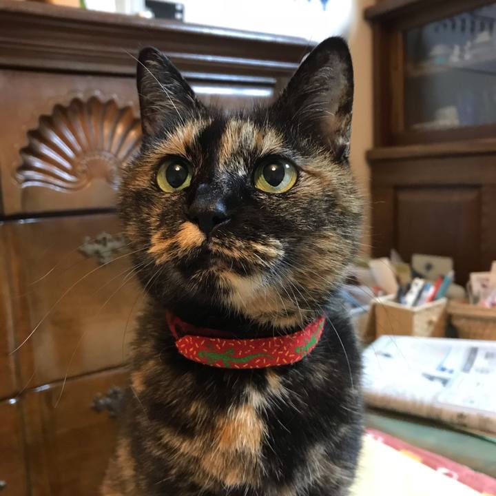 D2d37ca0 a853 4d03 a46e 9730dd230650 1590924130618