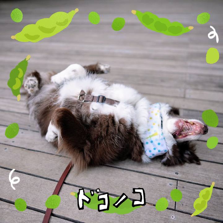 D2d37d0e 0b82 4349 b7e0 3ef2b1553499 1720955146649