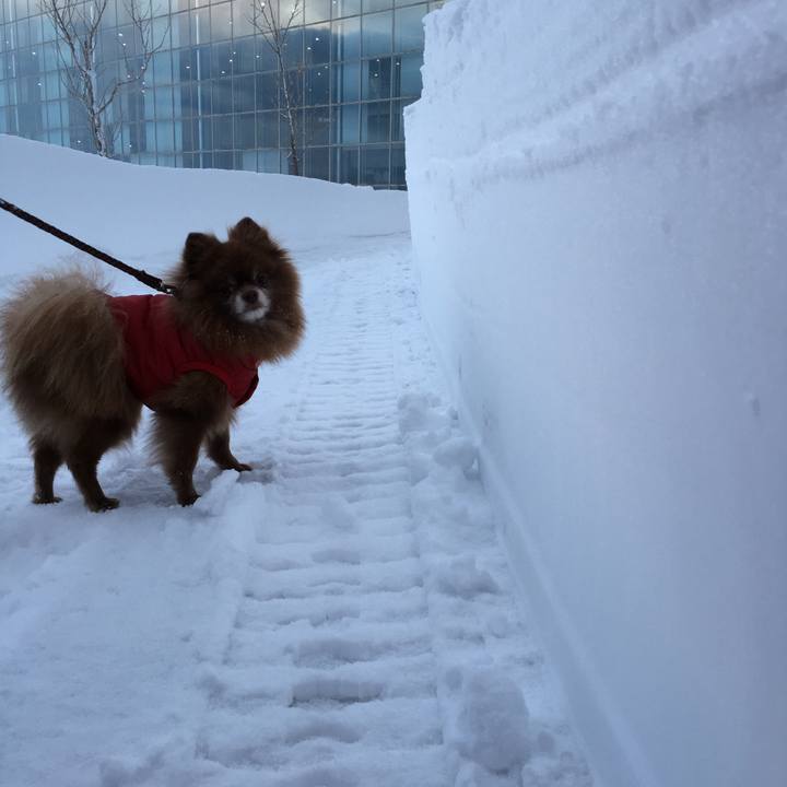 D2d381ec 42e1 4f56 9dbb f7541255bfa8 1515741665874