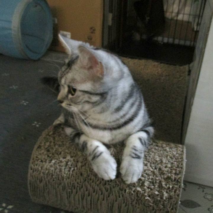 D2d39402 70a4 472a a4d9 582504cbfe21 1555942246940