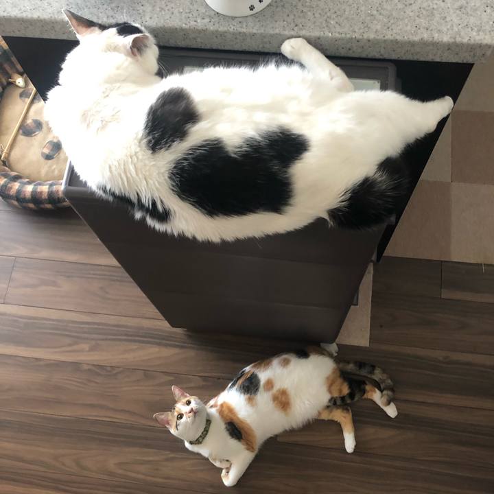 D2d3e00c b520 4575 a35d c4403812e513 1597111263195