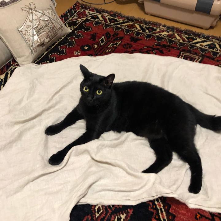 D2d3e1e5 e66e 484e 86ab 70daaf671953 1560515337103