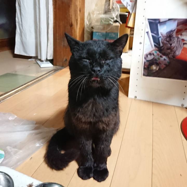 D2d3e3cf bcf3 403d b265 a90bf323e810 1626181362584