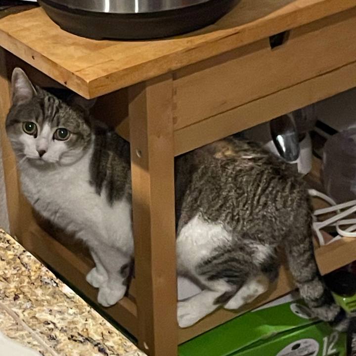 D2d43b12 6108 4cf3 b419 86e6cb14c3c2 1769478248359