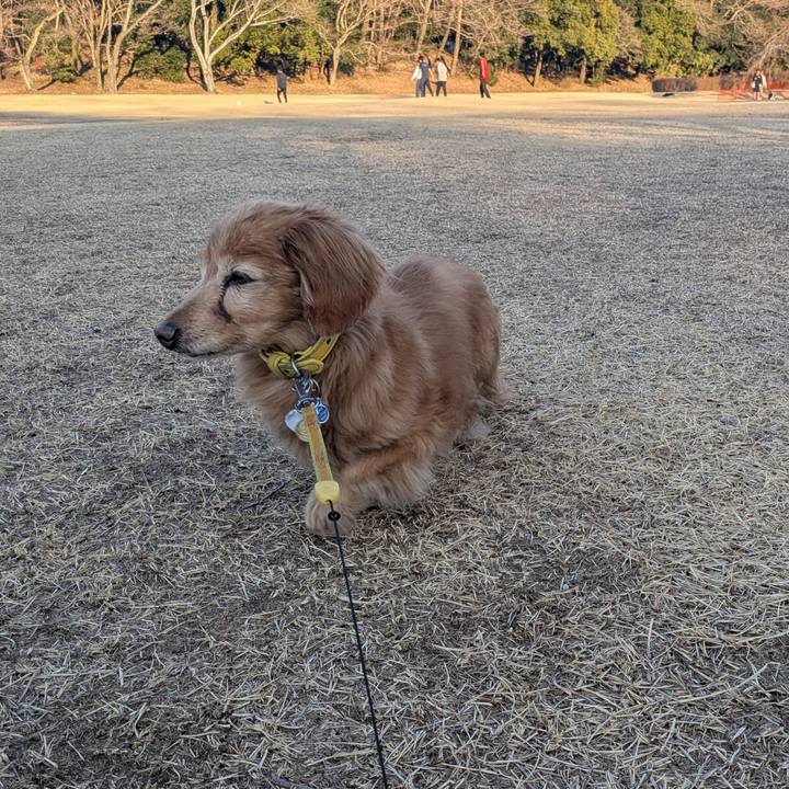 D2d44999 874b 45c0 b23b 889cd33c2602 1771855708429