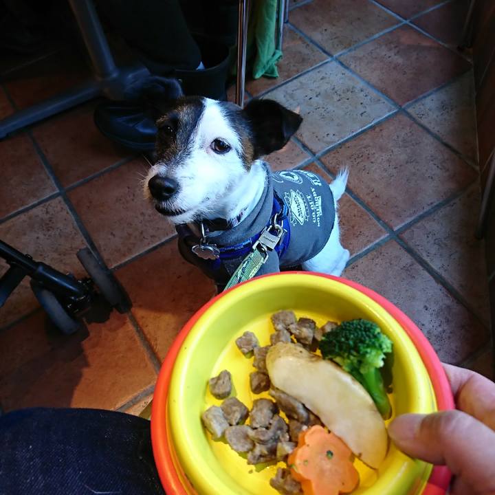 D2d474ae 4ba3 4820 9707 6ded30648520 1514955115689