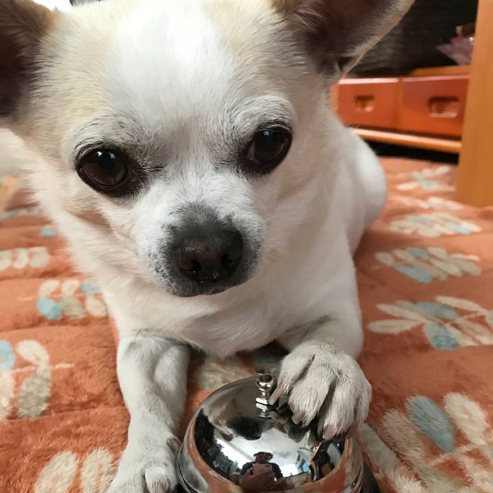 D2d477b3 22de 4b34 b191 de72670b6ef9 1513127063225