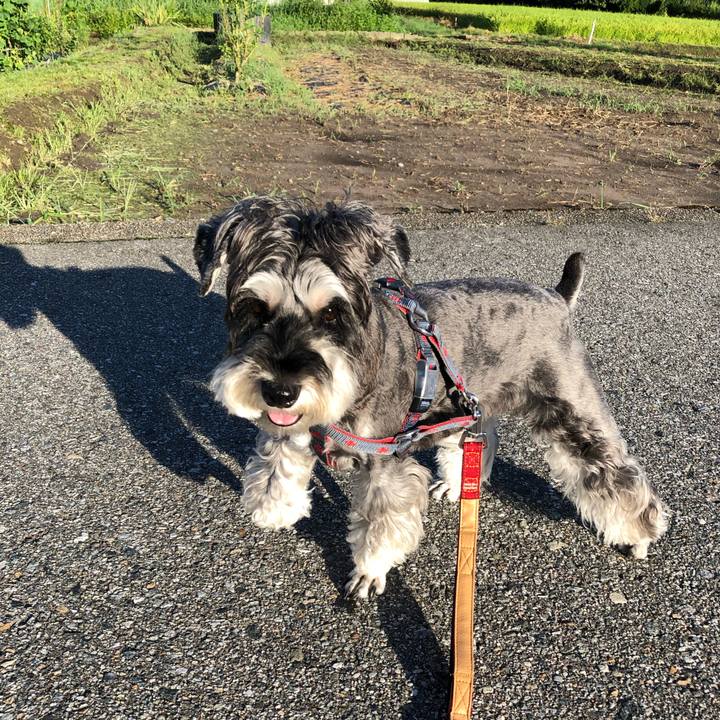 D2d48c9f acb1 469f 86bd 74bde799a701 1660880736915