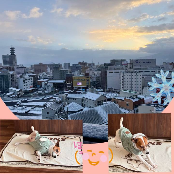 D2d49a68 e2f3 4251 a28f 808df7e5f44e 1770074598826