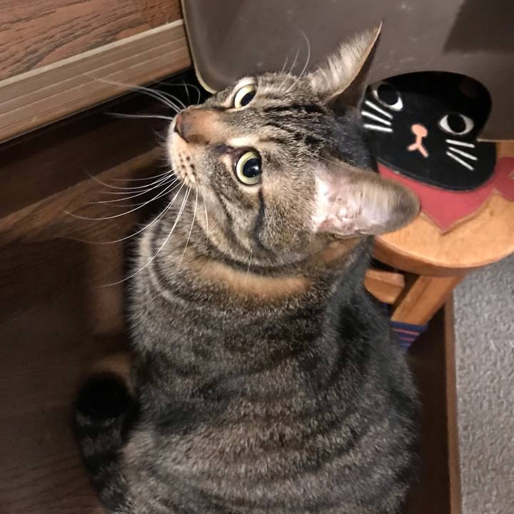 D2d4dd43 f328 4c5e ae15 baf36779fcb8 1550496098151