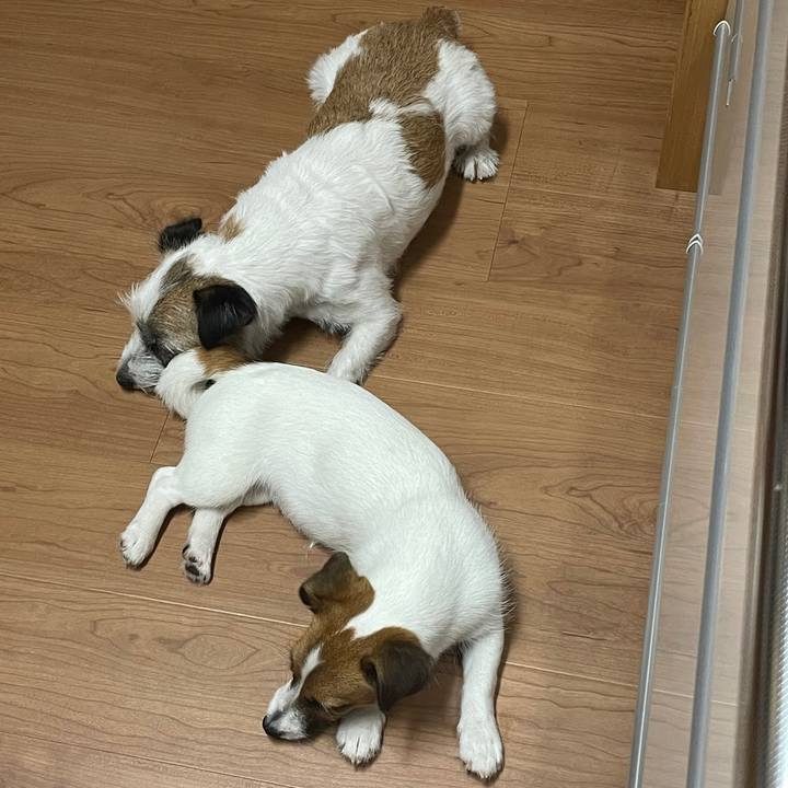 D2d4eefe 701a 498f 85c1 db82af101fdc 1625881334760