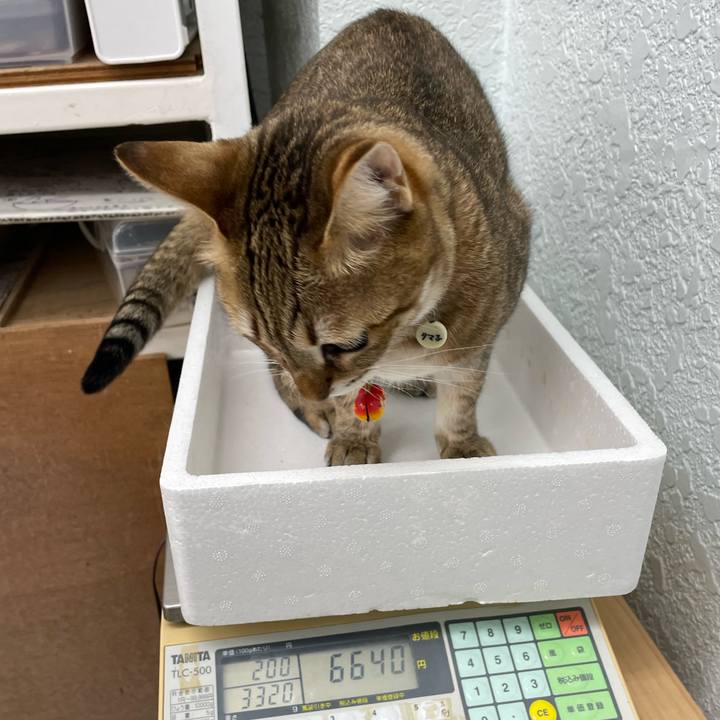 D2d4fcd2 8a12 47e6 ad9f 3ec496ad7bf4 1675665928059