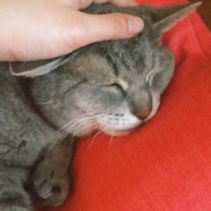 D2d53a8a c8be 4da2 9767 7604fd26bbcc 1634309603749